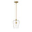 Z-Lite Joliet 1 Light 12.25" Pendant, Olde Brass/Clear