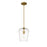 Z-Lite Joliet 1 Light 12.25" Pendant, Olde Brass/Clear