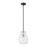 Z-Lite Bella 1 Light 11" Mini Pendant, Black/Nickel, Clear - 476MP-ROD-MB-BN