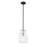 Z-Lite Bella 1 Light 11" Mini Pendant, Black/Nickel/Clear