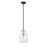 Z-Lite Bella 1 Light 11" Mini Pendant, Black/Nickel/Clear