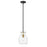 Z-Lite Bella 1 Light 11" Mini Pendant, Black/Brass/Clear