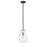 Z-Lite Bella 1 Light 11" Mini Pendant, Black/Brass/Clear
