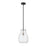 Z-Lite Bella 1 Light 16" Mini Pendant, Black/Nickel, Clear - 476P-ROD-MB-BN