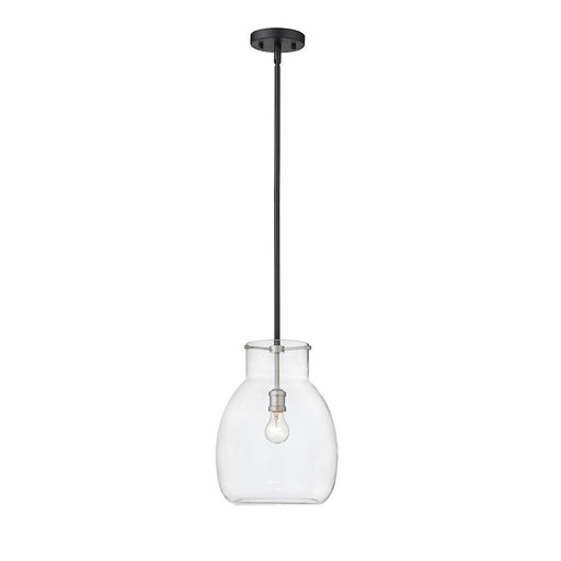 Z-Lite Bella 1 Light 16" Mini Pendant, Black/Nickel/Clear