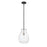 Z-Lite Bella 1 Light 16" Mini Pendant, Black/Nickel/Clear