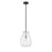 Z-Lite Bella 1 Light 16" Mini Pendant, Black/Nickel/Clear