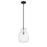 Z-Lite Bella 1 Light 16" Mini Pendant, Black/Olde Brass/Clear