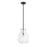 Z-Lite Bella 1 Light 16" Mini Pendant, Black/Olde Brass/Clear