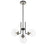 Z-Lite Parsons 4 Light Chandelier, Black/Brushed Nickel/Clear