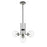 Z-Lite Parsons 4 Light Chandelier, Black/Brushed Nickel/Clear