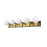 Z-Lite Parsons 5 Light Vanity, Matte Black/Olde Brass/Opal