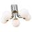 Z-Lite Parsons 6 Light 97.75" Chandelier, Matte Black/Olde Brass/Opal
