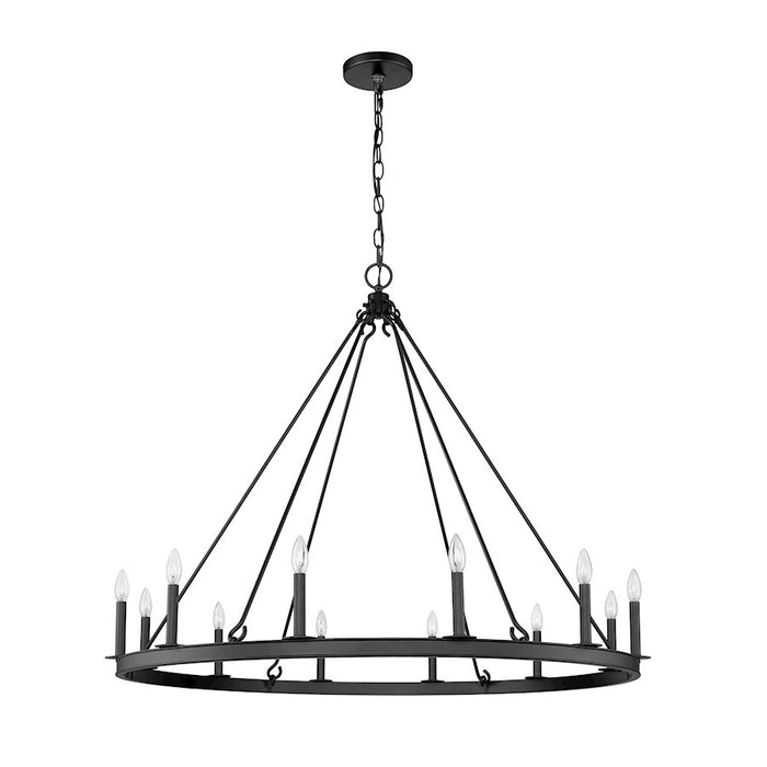Z-Lite Barclay 12 Light 39" Chandelier, Matte Black