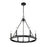 Z-Lite Barclay 6 Light 24" Chandelier, Matte Black