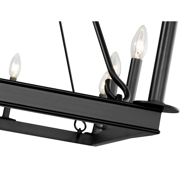 Z-Lite Barclay 12 Light 38.75" Chandelier, Matte Black