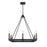 Z-Lite Barclay 8 Light 31.5" Chandelier, Matte Black