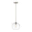 Z-Lite Harmony 1 Light 10" Pendant, Brushed Nickel/Clear