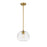 Z-Lite Harmony 1 Light 10" Pendant, Olde Brass, Clear - 486P10-OBR