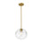 Z-Lite Harmony 1 Light 10" Pendant, Olde Brass/Clear