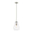 Z-Lite Ayra 1 Light 11.75" Pendant, Brushed Nickel, Clear - 488P8-BN