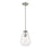 Z-Lite Ayra 1 Light 11.75" Pendant, Brushed Nickel/Clear