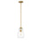 Z-Lite Ayra 1 Light 11.75" Pendant, Olde Brass/Clear