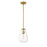 Z-Lite Ayra 1 Light 11.75" Pendant, Olde Brass/Clear