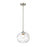 Z-Lite Chloe 1 Light 10" Pendant, Brushed Nickel/Clear