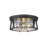 Z-Lite Cape Harbor Light Flush Mount