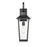 Z-Lite Gannon 1 Light 8" Outdoor Wall Light, Black/Clear Beveled