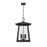 Z-Lite Rainer 5Lt 15.5" Outdoor Chain Ceiling Mount, Black/Seedy