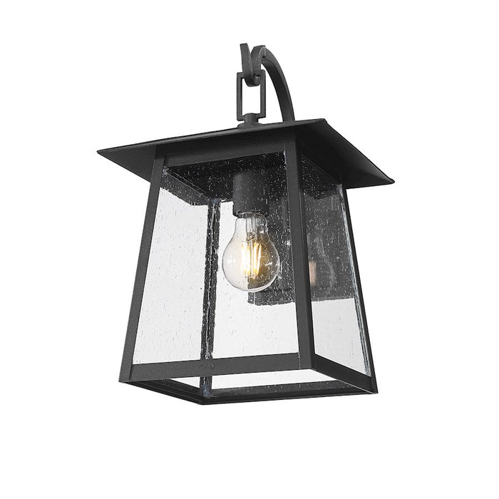 Z-Lite Rainer 1 Light 9.5" Outdoor Wall Light, Black/Clear Seedy