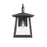 Z-Lite Rainer 1 Light 9.5" Outdoor Wall Light, Black/Clear Seedy