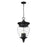 Z-Lite Davina 4Lt 12" Outdoor Chain Ceiling Mount, Black/Ribbed