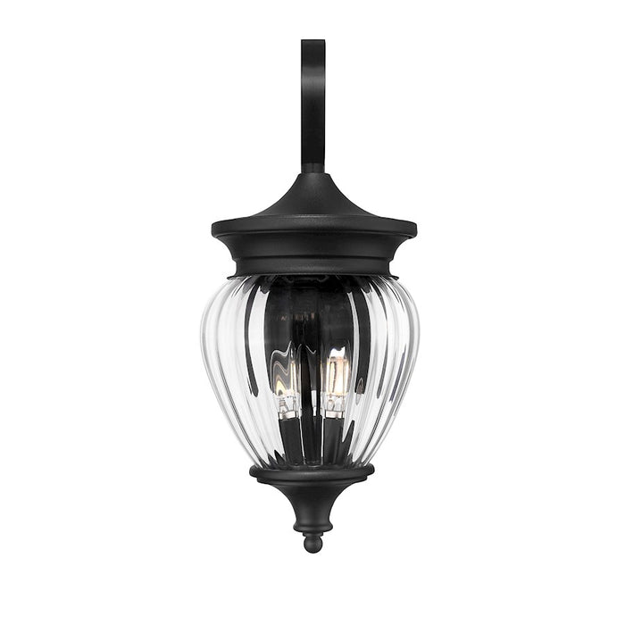 Z-Lite Davina 3 Light 9" Outdoor Wall Light, Black/Clear Ribbed