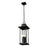 Z-Lite Tiberius 4 Light 9" Outdoor Chain Mount Ceiling, Black/Seed