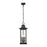 Z-Lite Tiberius 4 Light 9" Outdoor Chain Mount Ceiling, Black/Seed