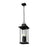Z-Lite Tiberius 4 Light 9" Outdoor Chain Mount Ceiling, Black/Seed