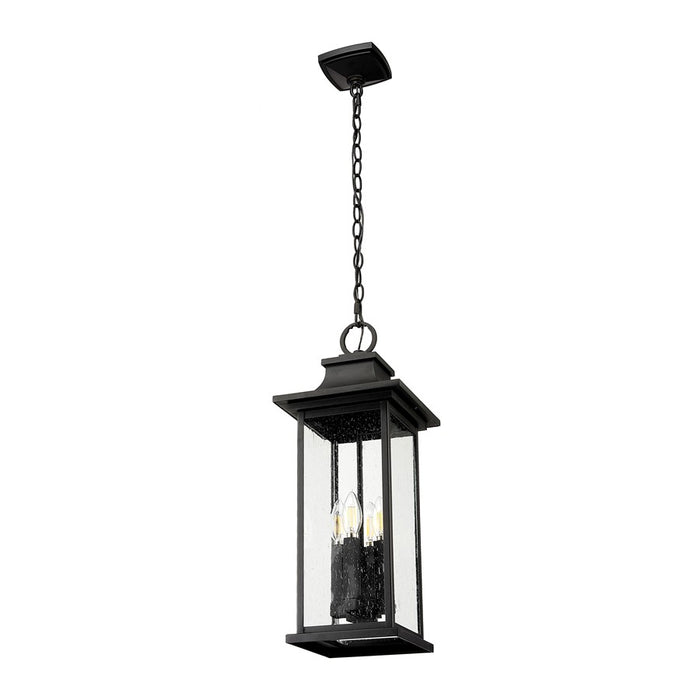 Z-Lite Tiberius 4 Light 9" Outdoor Chain Mount Ceiling, Black/Seed