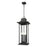 Z-Lite Tiberius 6Lt 12" Outdoor Chain Mount Ceiling, Black/Seed - 5017CHXL-BK