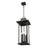 Z-Lite Tiberius 6Lt 12" Outdoor Chain Mount Ceiling, Black/Seed