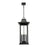 Z-Lite Tiberius 6 Light 12" Outdoor Chain Mount Ceiling, Black/Seed