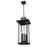 Z-Lite Tiberius 6Lt 12" Outdoor Chain Mount Ceiling, Black/Seed
