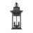 Z-Lite Tiberius 2 Light 8.75" Outdoor Wall Light, Black/Clear Seedy