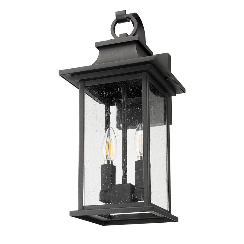 Z-Lite Tiberius 2 Light 8.75" Outdoor Wall Light, Black/Clear Seedy
