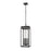 Z-Lite Nova 4Lt 10.5" Outdoor Chain Mount Ceiling, Black/Clear - 5018CHB-BK