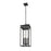 Z-Lite Nova 4 Light 10.5" Outdoor Chain Mount Ceiling, Black/Clear