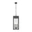 Z-Lite Nova 4Lt 10.5" Outdoor Chain Mount Ceiling, Black/Clear