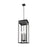 Z-Lite Nova 5 Light 12.5" Outdoor Chain Mount Ceiling, Black/Clear